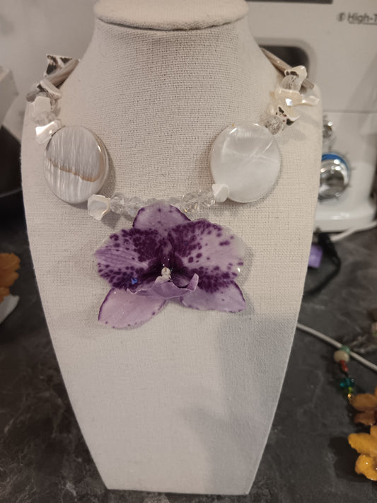 Mariposa
